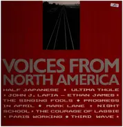 The Singing Fools, Mark Lane, Half Japanese a.o. - Voices From North America