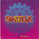 7inch Vinyl Single - The Sindecut - Live The Life - Silver Injection Labels