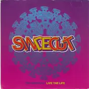 7inch Vinyl Single - The Sindecut - Live The Life - Silver Injection Labels