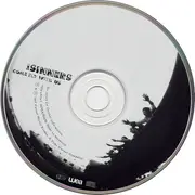 CD - The Sinners - Come Fly With Us