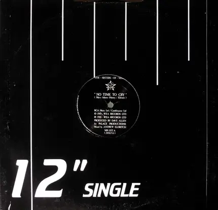 The Sisters Of Mercy - No Time To Cry