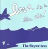 7inch Vinyl Single - The Skywriters - Love Is In The Air