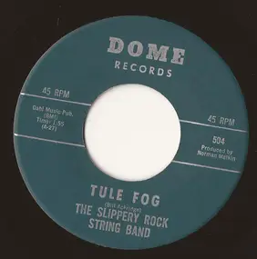 The Slippery Rock String Band - Tule Fog / Sally Brought Him Home