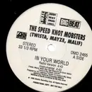 12'' - The Speed Knot Mobsters / Twista - In Your World / Adrenaline Rush - Maze, Malif