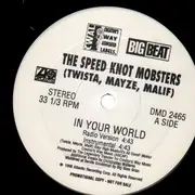 12'' - The Speed Knot Mobsters / Twista - In Your World / Adrenaline Rush - Maze, Malif