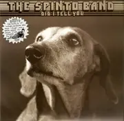 7inch Vinyl Single - The Spinto Band - Did I Tell You - Gatefold