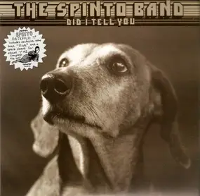 the spinto band - Did I Tell You