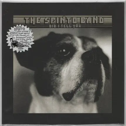 The Spinto Band - Did I Tell You