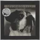 7inch Vinyl Single - The Spinto Band - Did I Tell You