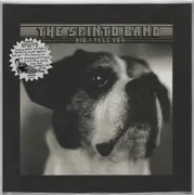 7inch Vinyl Single - The Spinto Band - Did I Tell You