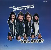 The Spongetones - Torn Apart