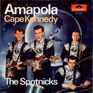 The Spotnicks - Amapola