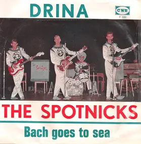 The Spotnicks - Drina