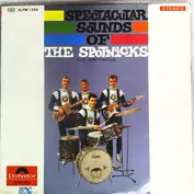 The Spotnicks