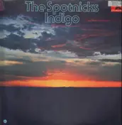 The Spotnicks - Indigo