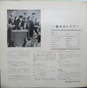 LP - The Spotnicks - Karelia / The Best Of The Spotnicks