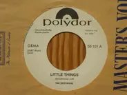 The Spotnicks - Little Things