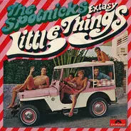 The Spotnicks - Little Things