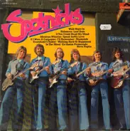 The Spotnicks - Spotnicks