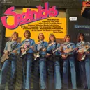 LP - The Spotnicks - Spotnicks