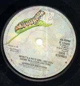 The Springer Brothers