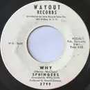 7inch Vinyl Single - The Springers - Why