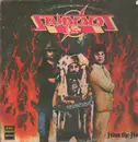 LP - The Stampeders - From The Fire
