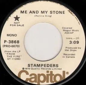 The Stampeders - Me And My Stone