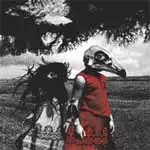 The STANDARD - Albatross