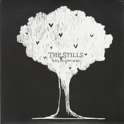 The Stills - Still In Love Song