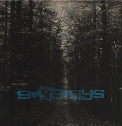 The Sting-Rays - Behind The Beyond