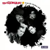 The Sting-Rays - From the Kitchen Sink
