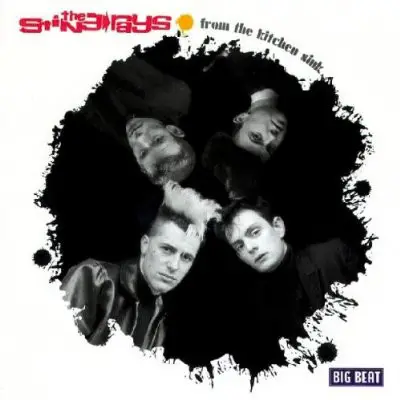 The Sting-Rays - From the Kitchen Sink