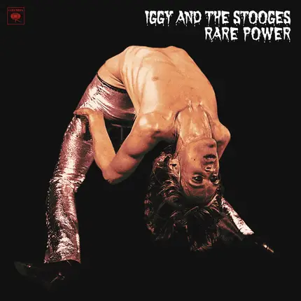 The Stooges - Rare Power