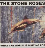 Stone Roses, The - What The World Is Waiting For / Fools Gold 9.53