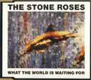 CD Single - The Stone Roses - What The World Is Waiting For