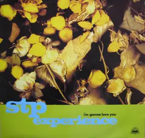 The STP Experience - I'm Gonna Love You