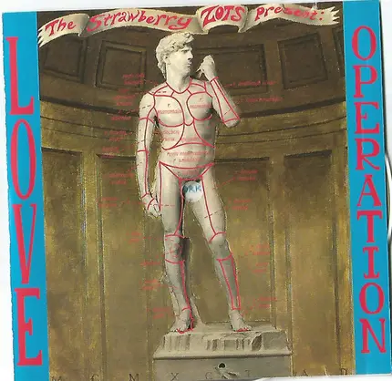 The Strawberry Zots - Love Operation