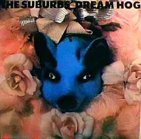 The Suburbs - Dream Hog