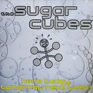 Sugarcubes - Here Today Tomorrow Next Week
