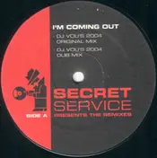 the sugarland gang - I'm Coming Out (Remixes)