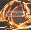 7inch Vinyl Single - The Sunflowers - It's Only Everything