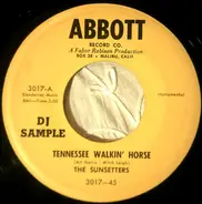 The Sunsetters - Tennessee Walkin' Horse / Waltzing Willie