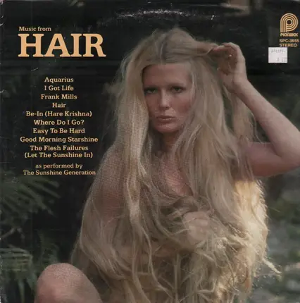 The Sunshine Generation - Hair