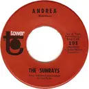 7inch Vinyl Single - The Sunrays - Andrea / You Don't Phase Me