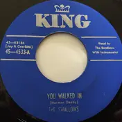 The Swallows - You Walked In / I Only Have Eyes For You