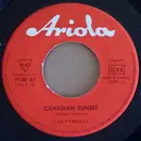 7inch Vinyl Single - The Symbols - Canadian Sunset