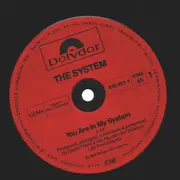 12inch Vinyl Single - The System - You Are In My System