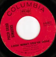 The Pozo-Seco Singers - Look What You've Done