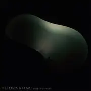 CD - The Poison Arrows - Straight Into The Drift